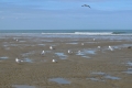 Plage de Deauville, le bord de mer