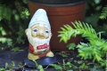Nain de jardin qui attend que Thierry revienne