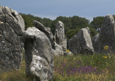 Carnac - Les alignements megalithiques