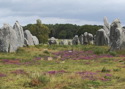 Alignements megalithiques à Carnac