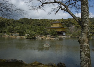 Le Pavillon d'or