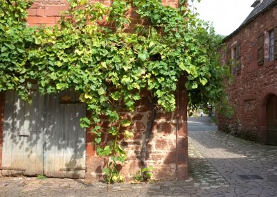 Lierre sur une maison de Collonges la rouge