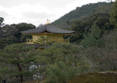 Le Pavillon d'or à travers les arbres