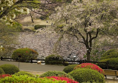 Mare du jardin de Shinagawa