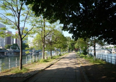 allee des cygnes un matin de printemps