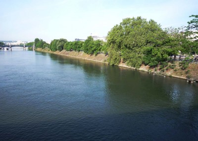 ile aux cygnes depuis le pont de Bir-hakeim