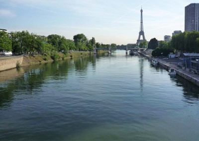 ile aux cygnes depuis le pont de Grenelle