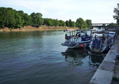 ile aux cygnes depuis le quai du port de Paris