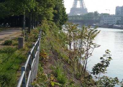 ile aux cygnes et la tour Eiffel