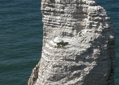 L'aiguille creuse