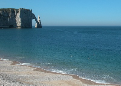 Bain de mouettes a Etretat