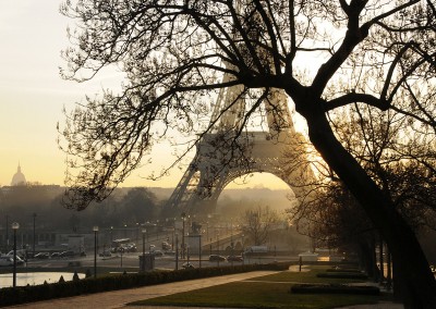 Dans la brume du matin