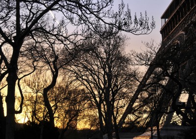 Végétation en hiver à côté de la tour