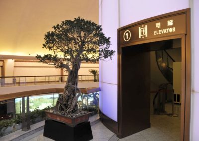 L'ascenseur de la Tower TV Shanghai Perle de l'Orient