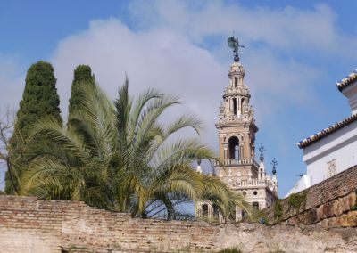 La Giralda derrière les murs de l'Alcazar