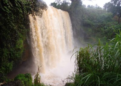 Chutes d'eau spectaculaires en forêt