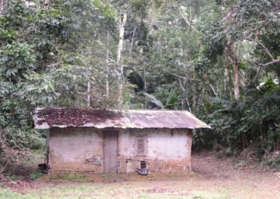 Maison dans la forêt