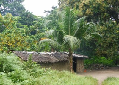 Maison dans la forêt camerounaise