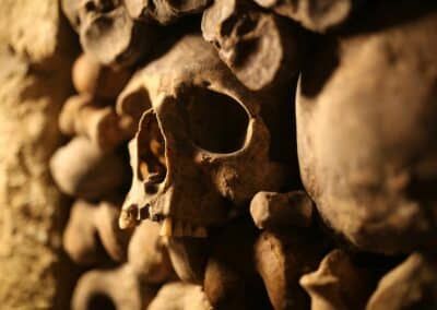 Catacombes de Paris dent