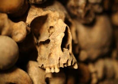 Catacombes de Paris dents