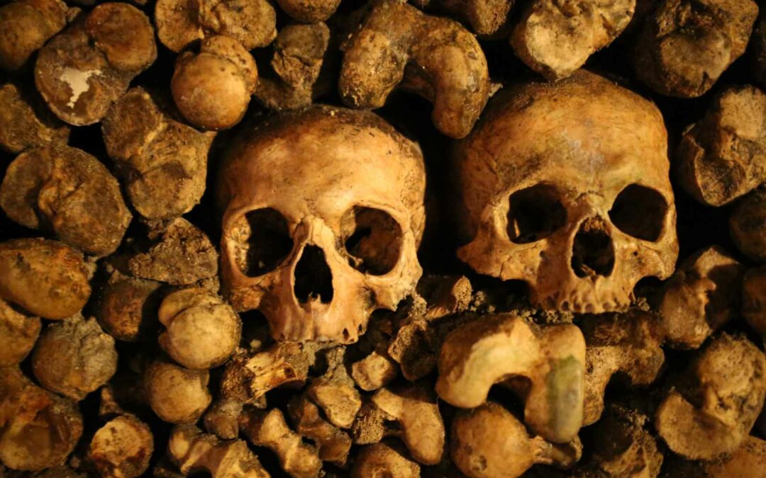 Catacombes de Paris deux crânes