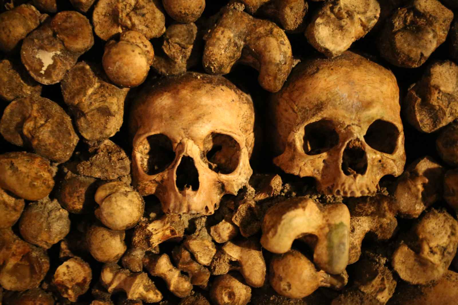 Catacombes de Paris deux crânes