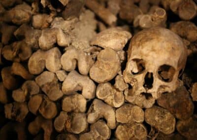 Catacombes de Paris un crâne